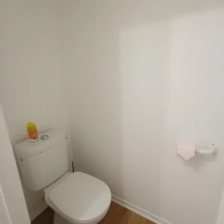 Cosy Et Paisible Pres De La Mongie Διαμέρισμα