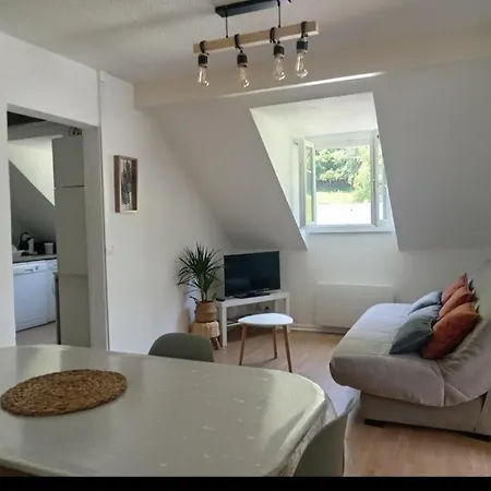 Cosy Et Paisible Pres De La Mongie Διαμέρισμα